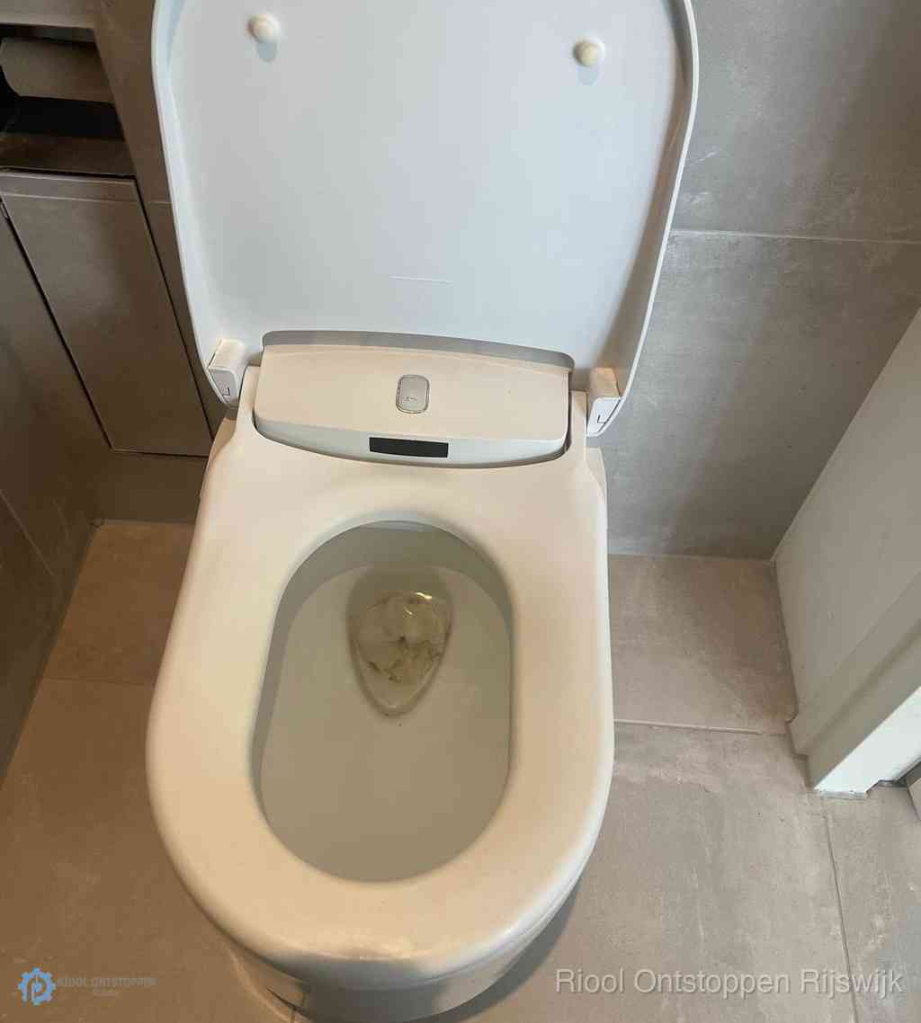 Toilet Ontstoppen Rijswijk